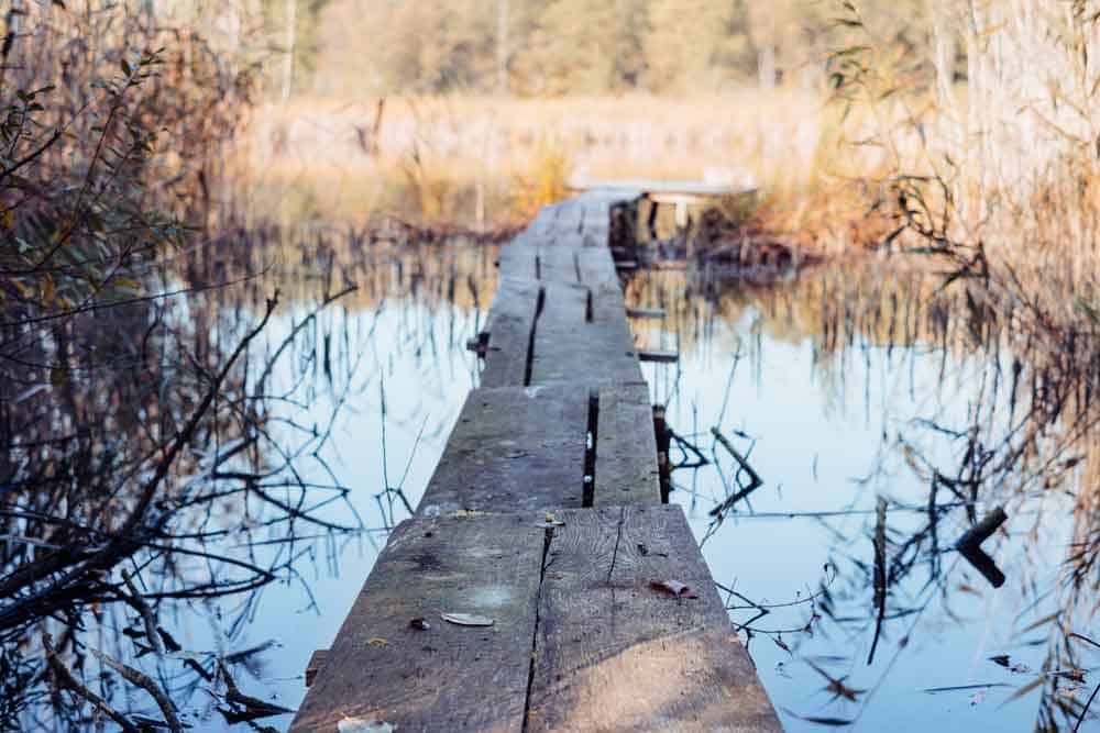 small wooden pier stock photo