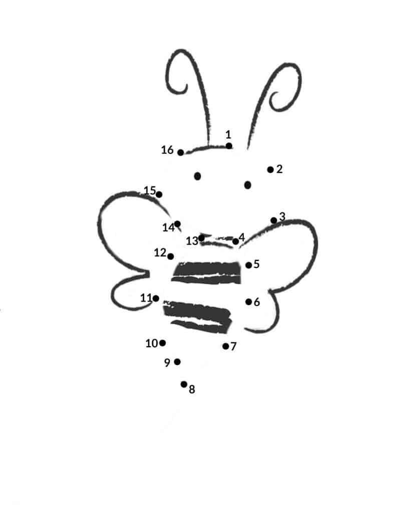 Bee connect the dots