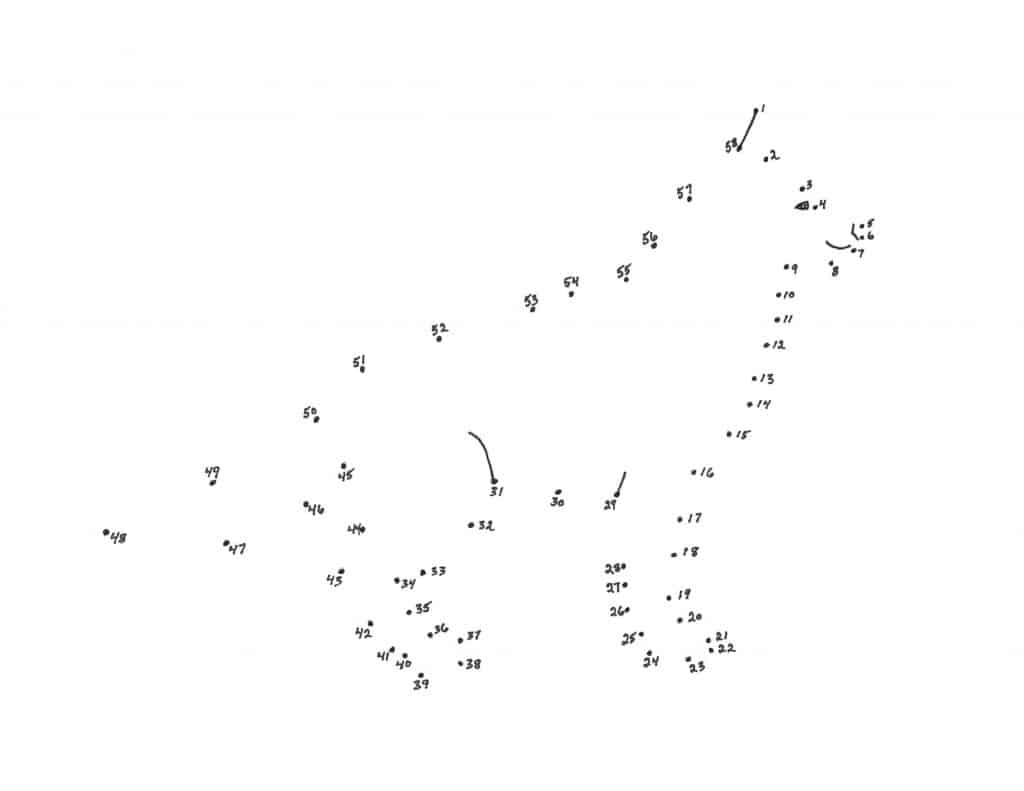 Dog connect the dots