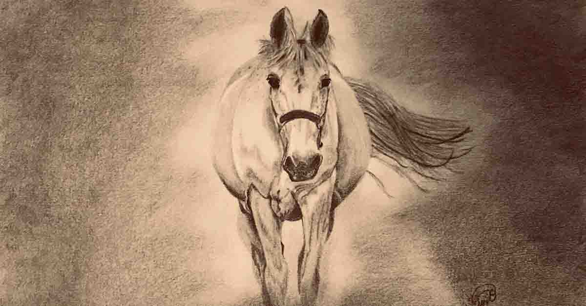 5 Ways To QUICKLY IMPROVE Your Graphite Pencil Drawings 
