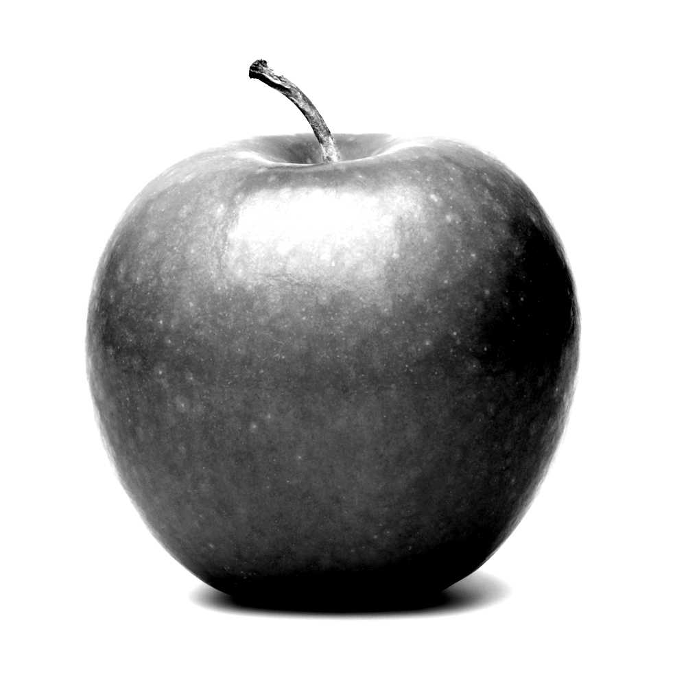 black and white picture of an apple