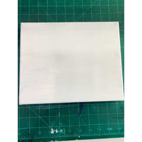 A gessoed canvas on a green craft mat.