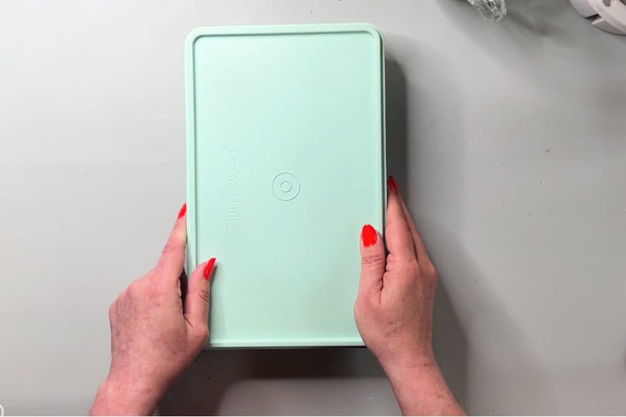 An artist holding a plastic container with lid showing a completed diy stay wet palette.