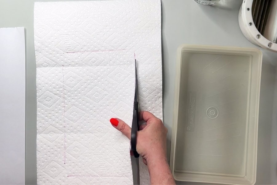 An artist cutting paper towels to fit into a plastic container.